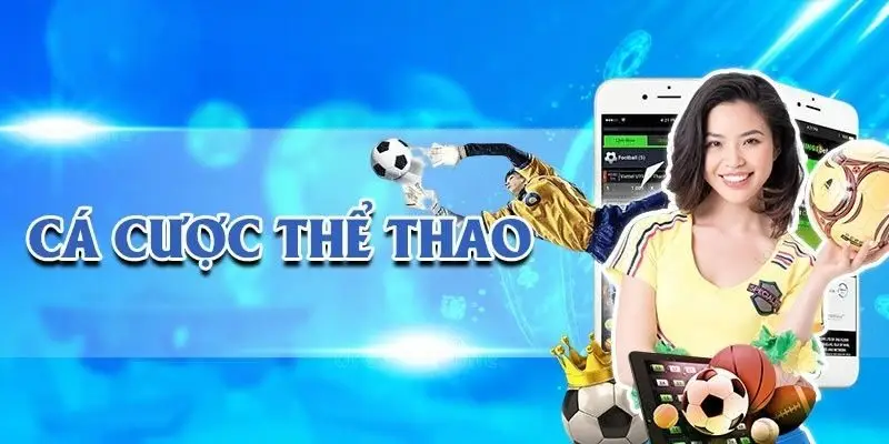 Chiến thuật cá cược hiệu quả cho người mới 